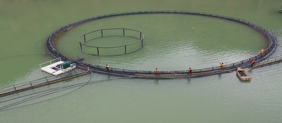 尼勒克縣:深耕&ldquo;水上糧倉&rdquo; 打造高質量發(fā)展&ldquo;綠色引擎&rdquo;